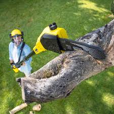 Lawn Renovation and Restoration in Kearns, UT